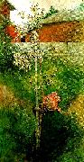 Carl Larsson kring appeltradet-appelblom painting